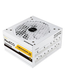 Antec NE1000G M  White  PCIe 5.0 Ready  Fully Modular  80PLUS Gold  Single Rail  83A  120mm FDB Fan  ATX3.0 PSU