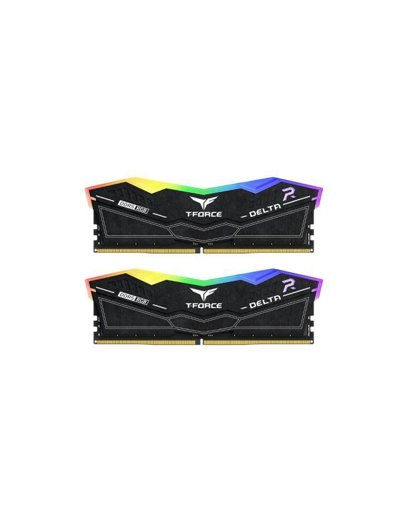 Team T-Force Delta RGB 48GB Kit (2 x 24GB)  DDR5  8000MHz (PC5-6400)  CL38  ECC  XMP 3.0  PMIC  DIMM Memory  Black