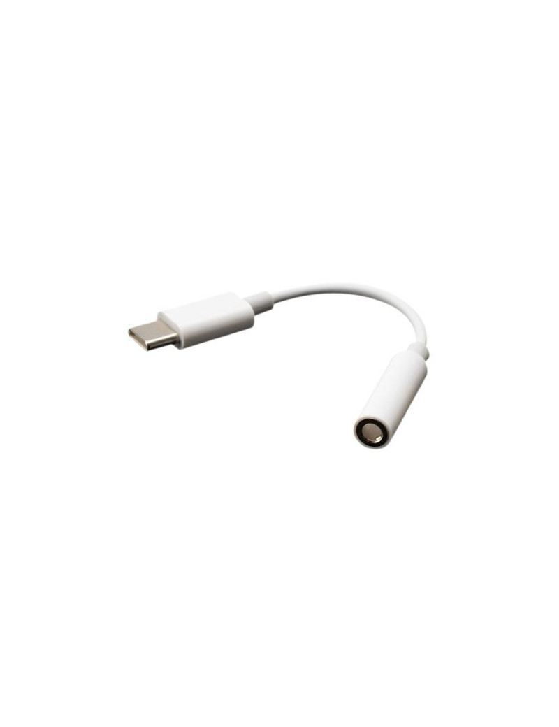 Akasa USB Type-C Male to 3.5mm Jack Female Adapter  10cm  White