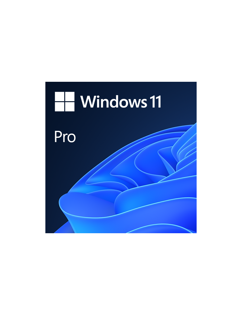 Microsoft Windows 11 Professional 64-bit  OEM DVD  Single Copy