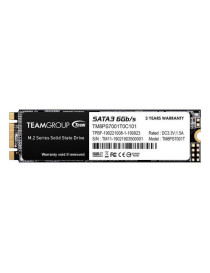 Team 1TB MS30 M.2 SATA SSD  M.2 2280  SATA3  R/W 530/480 MB/s