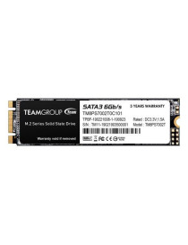 Team 2TB MS30 M.2 SATA SSD  M.2 2280  SATA3  R/W 550/500 MB/s